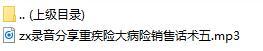 录音分享重疾险大病险销售话术五.rar