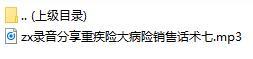 录音分享重疾险大病险销售话术七.rar