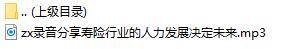 录音分享寿险行业的人力发展决定未来.rar
