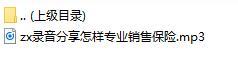 录音分享怎样专业销售保险.rar