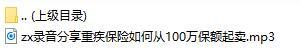 录音分享重疾保险如何从100万保额起卖.rar