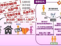 解析如何運(yùn)用家族信托實(shí)現(xiàn)財(cái)富傳承13頁(yè).ppt