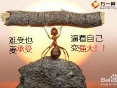 西点军校EQ情商训练三难受也要承受逼着自己变强大23页.ppt