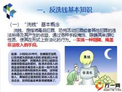 反洗钱基本知识及监管形势35页.ppt