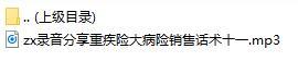 录音分享重疾险大病险销售话术十一.rar