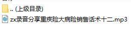 录音分享重疾险大病险销售话术十二.rar