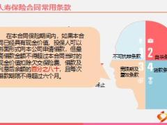 人身保险基础知识培训课件含备注17页.ppt
