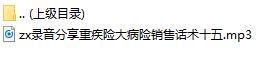 录音分享重疾险大病险销售话术十五.rar