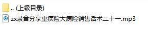 录音分享重疾险大病险销售话术二十一.rar