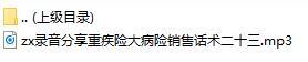 录音分享重疾险大病险销售话术二十三.rar