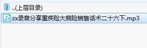 录音分享重疾险大病险销售话术二十六下.rar