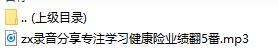 录音分享专注学习健康险业绩翻5番.rar
