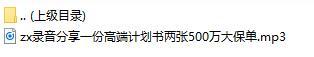 录音分享一份高端计划书两张500万大保单.rar