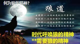 综合金融主管战狼军团特训营训前会23页.ppt