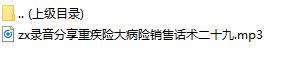 录音分享重疾险大病险销售话术二十九.rar