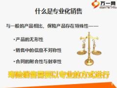 专业化销售流程概述14页.ppt