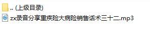 录音分享重疾险大病险销售话术三十二.rar