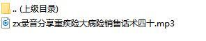 录音分享重疾险大病险销售话术四十.rar