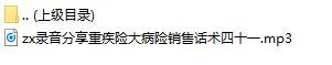 录音分享重疾险大病险销售话术四十一.rar