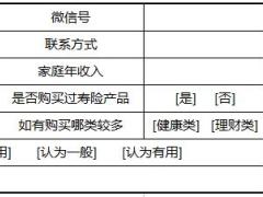 借助意外險進行市場開拓方法技巧隨堂講義客戶檢視表1頁.xls