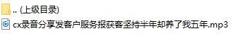 录音分享发客户服务报获客坚持半年却养了我五年.rar