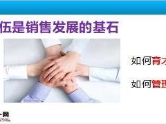 团险选拔培养新人团队经营含备注73页.ppt