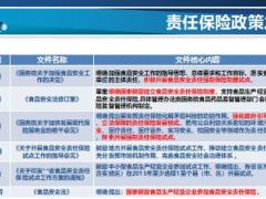意外险和责任险市场对比20页.ppt