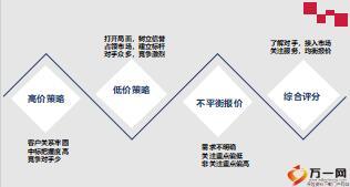 团险经验萃取分享招投标的技巧有备注9页.ppt