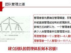 功能組搭建運作要點管理6含備注48頁.ppt