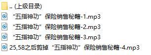 录音分享五指神功保险销售秘籍.rar