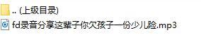 录音分享这辈子你欠孩子一份少儿险.rar