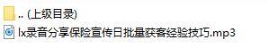 录音分享保险宣传日批量获客经验技巧.rar