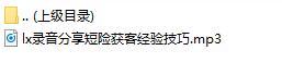录音分享短险获客经验技巧.rar