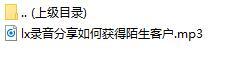 录音分享如何获得陌生客户.rar