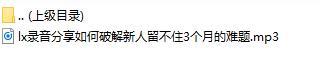 录音分享如何破解新人留不住3个月的难题.rar