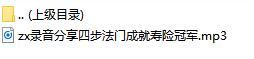 录音分享四步法门成就寿险冠军.rar