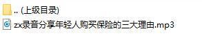 录音分享年轻人购买保险的三大理由.rar