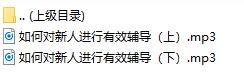 录音分享如何对新人进行有效辅导.rar