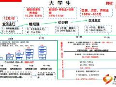 組織發(fā)展晉升增員面談新人培育經(jīng)驗(yàn)分享15頁(yè).ppt