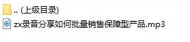 录音分享如何批量销售保障型产品.rar
