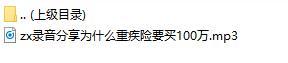 录音分享为什么重疾险要买100万.rar