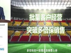 视频分享新华多倍保批量客户经营.rar