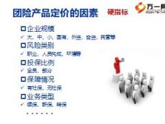 团险产品的定价因素原则技巧与产品组合国寿版34页.ppt