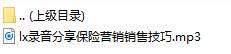 录音分享保险营销销售技巧.rar
