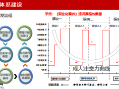 講師類(lèi)培訓(xùn)原則概述模塊分析體系搭建組織架構(gòu)規(guī)劃設(shè)計(jì)29頁(yè).ppt