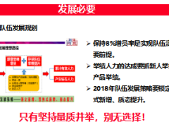 機(jī)構(gòu)收展團(tuán)隊(duì)形勢(shì)認(rèn)知舉措總結(jié)計(jì)劃30頁(yè).ppt