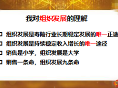 組織發(fā)展增員的形與魂及面談基本流程41頁(yè).ppt