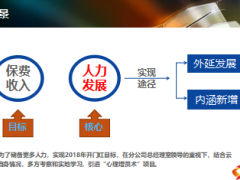 心理增員術(shù)項(xiàng)目運(yùn)作背景介紹和實(shí)操檢視和感悟24頁.ppt