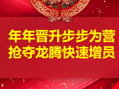 保險(xiǎn)精英分享借助龍騰快速增員年年晉升步步為營(yíng)36頁(yè).ppt