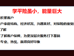 保險機構(gòu)分享學平險蓄客經(jīng)營轉(zhuǎn)化40頁.ppt